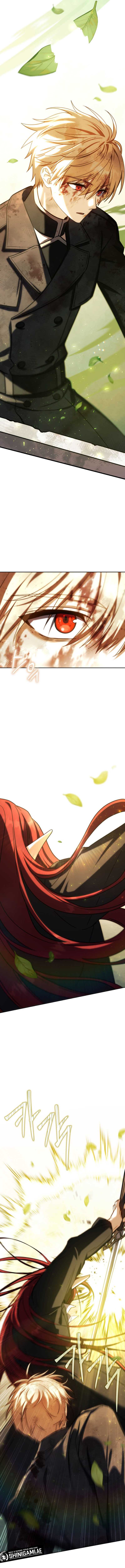 The Reincarnated Assassin Is A Genius Swordsman Chapter 49 page 17